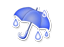 雨