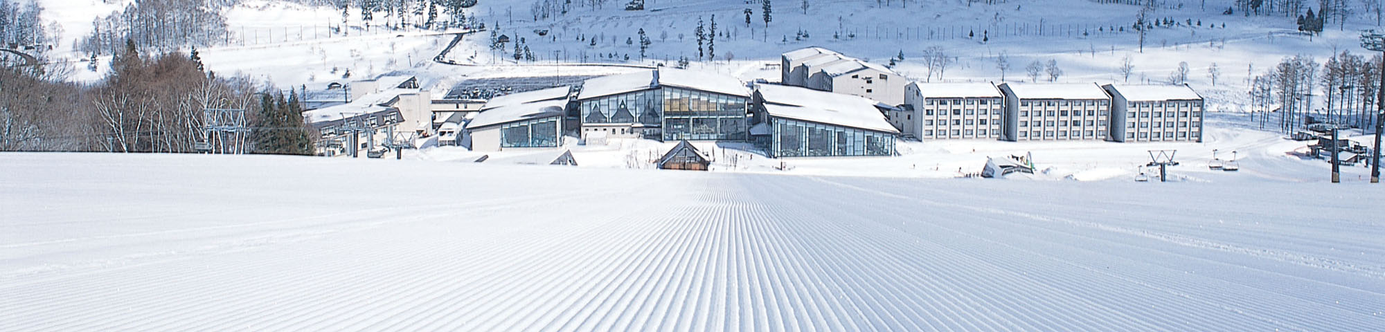 TANGRAM SKI CIRCUS | Japan Ski Guide powered by SURF&SNOW