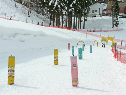 Joetsu Kokusai Ski Resort -photo Gallery | Japan Ski Guide Powered By ...