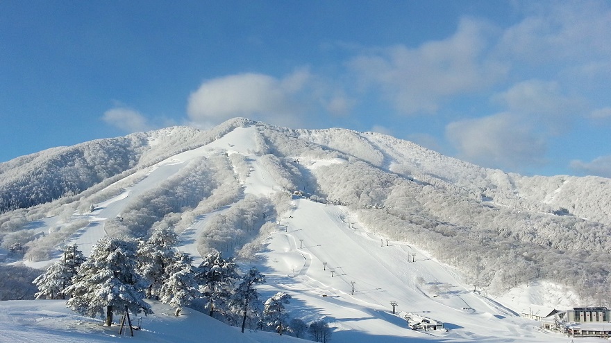 スキー場写真｜Madarao Kogen Ski Resort